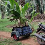 agriculture trolley